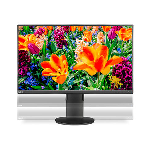SHARP/NEC E243F-BK 24" Desktop Monitor with USB-C Connectivity